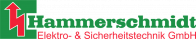 Hammerschmidt Logo