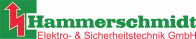 Hammerschmidt Logo